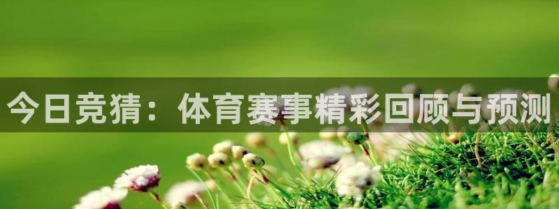 今日竞猜：体育赛事精彩回顾与预测