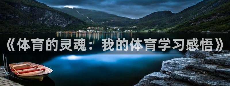 《体育的灵魂：我的体育学习感悟》