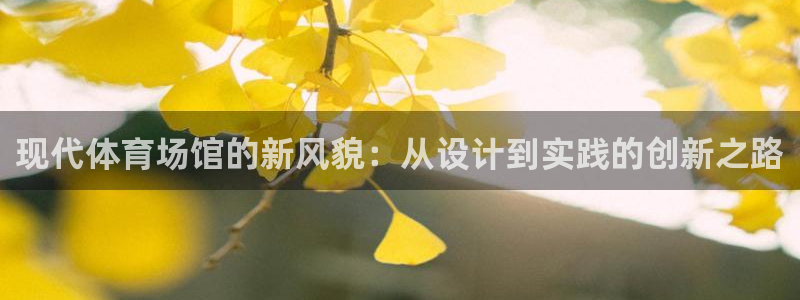 现代体育场馆的新风貌：从设计到实践的创新之路
