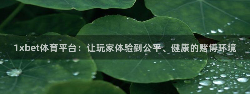 1xbet体育平台：让玩家体验到公平、健康的赌博环境