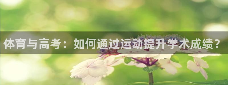 体育与高考：如何通过运动提升学术成绩？
