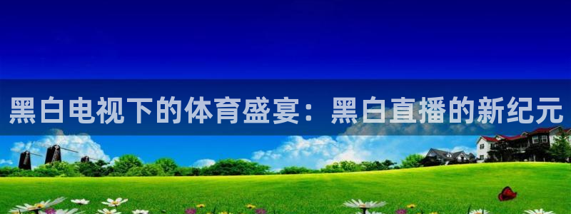 黑白电视下的体育盛宴：黑白直播的新纪元