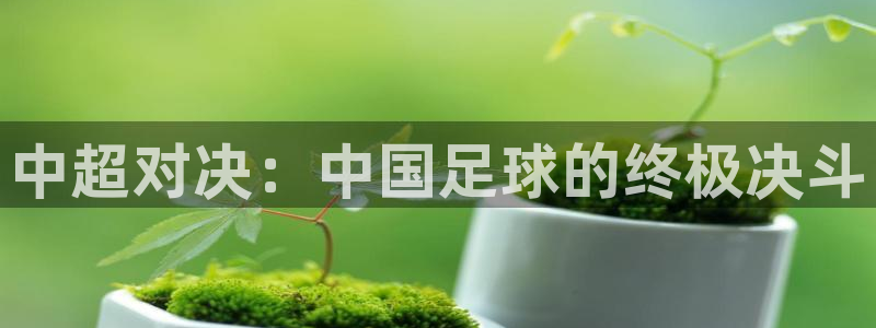 66直播体育：中超对决：中国足球的终极决斗