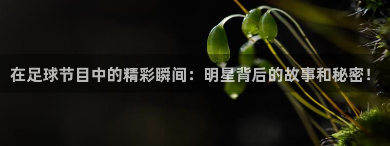 066直播nba篮球直播：在足球节目中的精彩瞬间：明星背后的故事和秘密！
