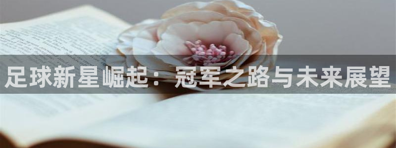 66直播nba体育：足球新星崛起：冠军之路与未来展望