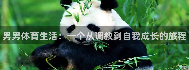 066体育直播网：男男体育生活：一个从调教到自我成长的旅程
