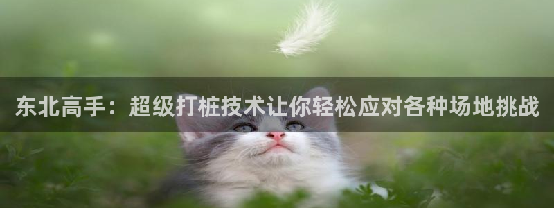 66体育：东北高手：超级打桩技术让你轻松应对各种场地挑战