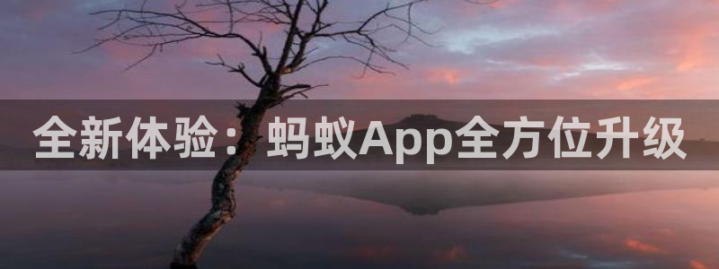 66体育网：全新体验：蚂蚁App全方位升级